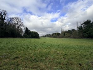 Photo 33- click for photo gallery